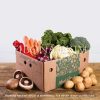 vegetable packaging box