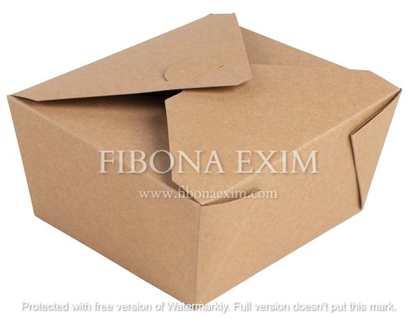 Takeaway Packaging Box 4